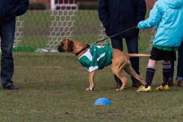 Bild 90 - D-Juniorinnen SV Bokhorst - FSC Kaltenkirchen : Ergebnis: 1:8